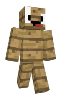 Front of Minecraft skin