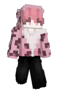 Front of wonnyland's skin
