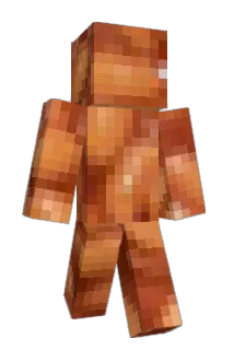 beanchug4 Minecraft avatar full body