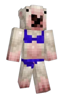beasp Minecraft avatar full body