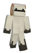 C2R1