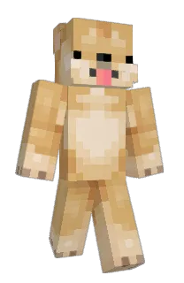 CooperBreaksWood's Minecraft skin