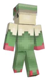Minecraft skin — Classic model