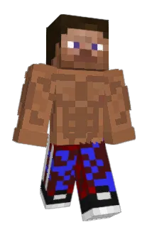 becho525 Minecraft avatar full body