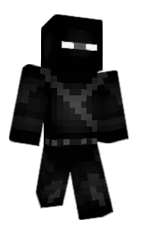 sectury's Minecraft skin wearing the Migrator cape