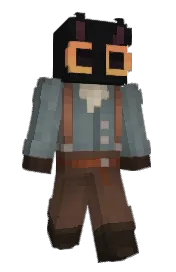 Skin preview