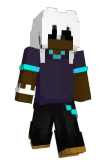 bedpole Minecraft avatar full body