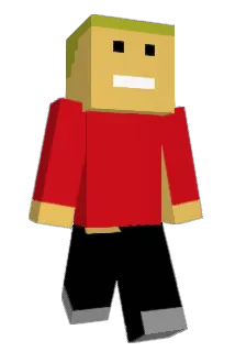 bedwarskoks2137 Minecraft avatar full body