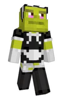 Front of stampu's skin