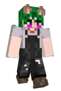 bee_socks Minecraft avatar full body