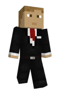 beeauu Minecraft avatar full body