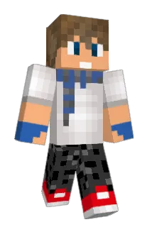 beebq8 Minecraft avatar full body