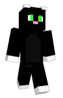 Front of a11ract's skin