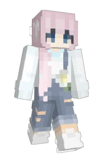 been1227 Minecraft avatar full body