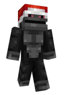 beenkies Minecraft avatar full body