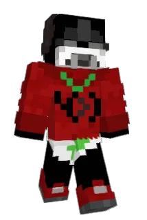 beery__ Minecraft avatar full body