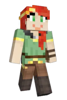 beesnort Minecraft avatar full body