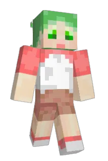 beesuke Minecraft avatar full body