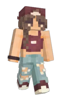 Front of 29x012's skin