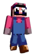 blooptheminer