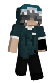 benachteiligt Minecraft avatar full body