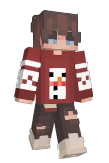 benissupercool Minecraft avatar full body