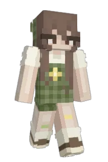 berrilies Minecraft avatar full body
