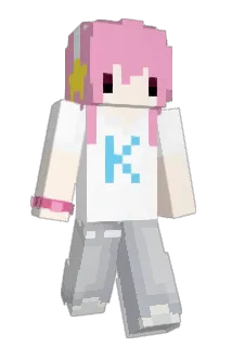 besom Minecraft avatar full body