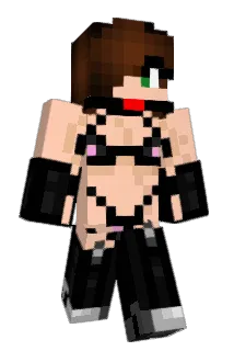betmen66 Minecraft avatar full body