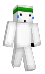 Slim Minecraft skin