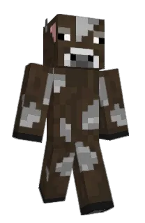Front of acwc's skin