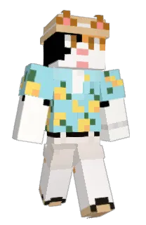 Front of rang_cong's skin