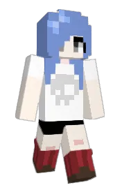 Skin preview