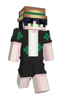 ffuuaapp's Minecraft skin