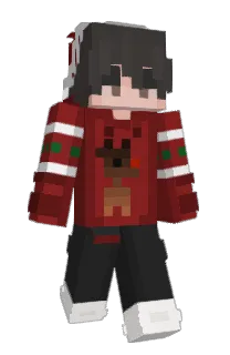Front of Toastttted's skin