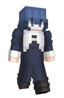 Front of koisilltt's skin