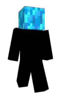 Front of 0736's skin
