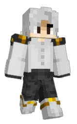 Minecraft skin — Classic model