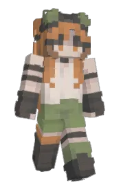 Skin preview