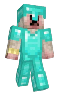 Front of Stupid_Axolotl's skin