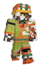 Skin preview