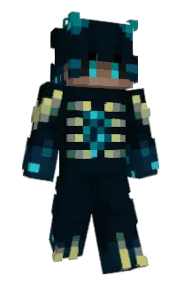 Front of renkwen's skin
