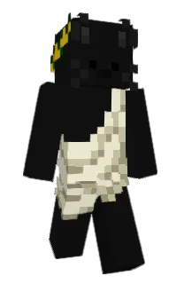 Front of zovho's skin