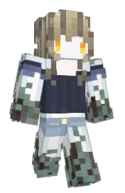Skin preview