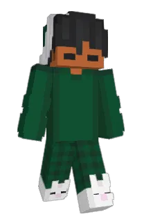 Front of conceps's skin