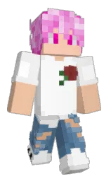 caracteres's Minecraft skin wearing the Migrator cape