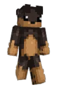 Nilv