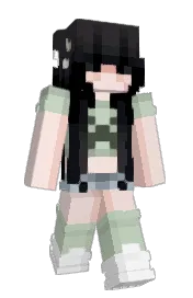 Skin preview