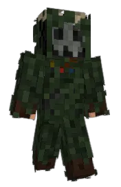 Skin preview