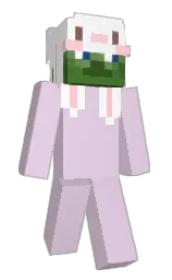 Slim Minecraft skin